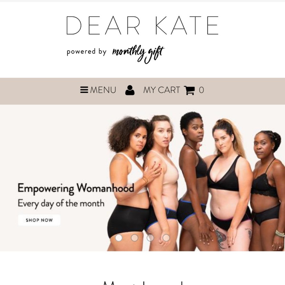 Dear Kate Period Panty League of Ladies Hipster